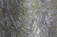 Berechurch fibreglass roof work